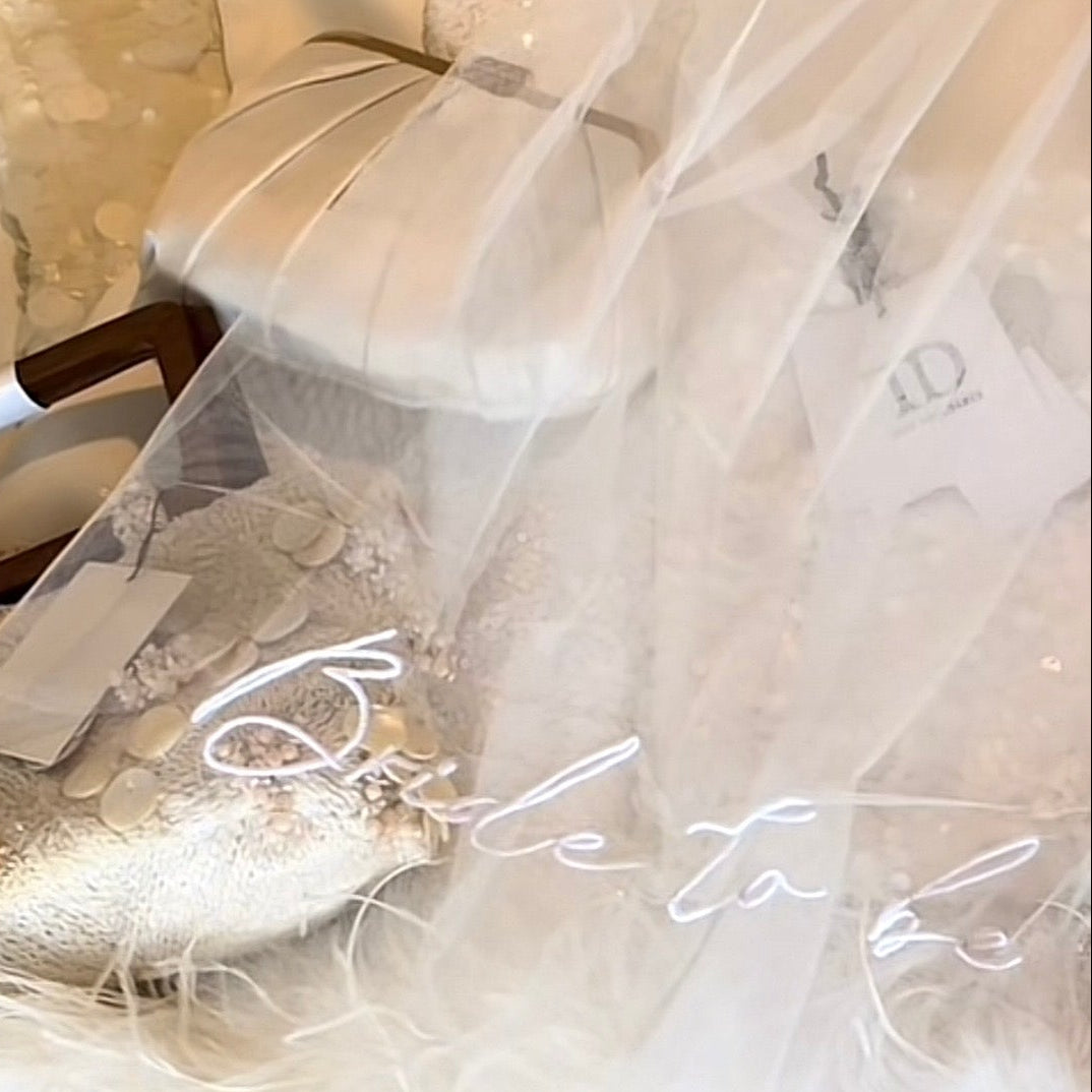 Embroidered Bride to Be Hen Party Veil